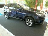Toyota RAV4 Hybrid 4x2 Team-D *Tech-P/Navi* - blaue Toyota RAV 4