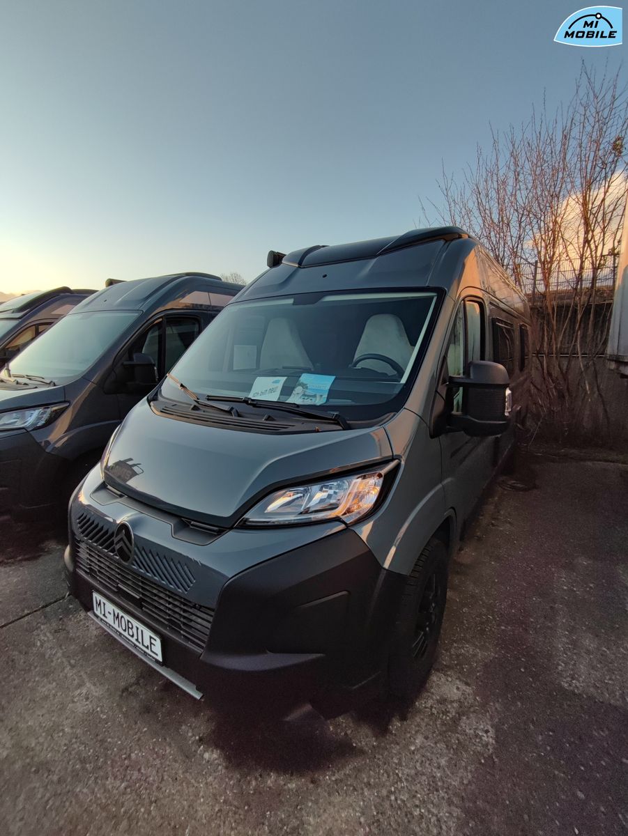 Fahrzeugabbildung Karmann Davis 595 TS *SCHAUSONNTAG 11-16UHR*