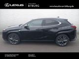 Lexus UX 300h F-Sport 4x4 Schiebedach 15 Jahre Relax G - Lexus: Sc300