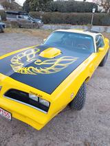 Pontiac Trans Am - Pontiac Trans Am Gebrauchtwagen
