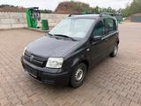 Fiat Panda 1.2 8V Dynamic Klima Tüv - gebrauchte Fiat Panda aus dem Jahr 2005