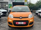 Fiat Panda Easy*TÜV*INS*27TKM* - gebrauchte Fiat Panda aus dem Jahr 2019