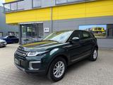 Land Rover Range Rover Evoque Pure KLIMAA/SHZ/NAVI/GARANTIE - Land Rover