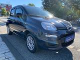 Fiat Panda Easy*Klima*Pdc*Start/Stopp* - gebrauchte Fiat Panda aus dem Jahr 2021