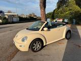 Volkswagen New Beetle 1.6 Cabrio - gebrauchte VW New Beetle aus dem Jahr 2005