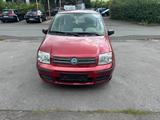 Fiat Panda 1.2 Benzin  EZ 07/2008  154.0... - Fiat Panda in Hagen