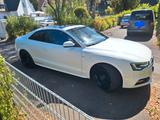 Audi A5 3.0 TDI clean diesel S tronic quattro - - Audi A5 Gebrauchtwagen in Köln