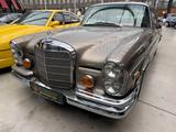 Mercedes-Benz 250 SE Coupe Aut Klima - Mercedes-Benz 250 aus 1966: 250s