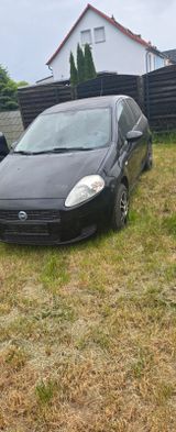 Fiat Punto 1.2  65 PS mit neuem Tüv - Fiat Punto: 1.6