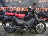 Honda C 125 A Cub Roller Scheibe - Offers matching your search criteria