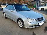 Mercedes-Benz Mercedes Cabrio CLK 320 CDI Avandgarde Edi... - Mercedes-Benz CLK 320 aus 2009
