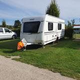 Fendt Bianco 515 SGD-Top-Zustand-2 Jahre alt  - Fendt 515 sg