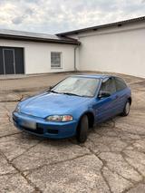 Honda Civic EG 3 College - Honda Civic: Eg