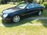 Mercedes-Benz CLK 200 KOMPRESSOR ELEGANCE Elegance - Mercedes-Benz CLK 200: Kompressor Elegance