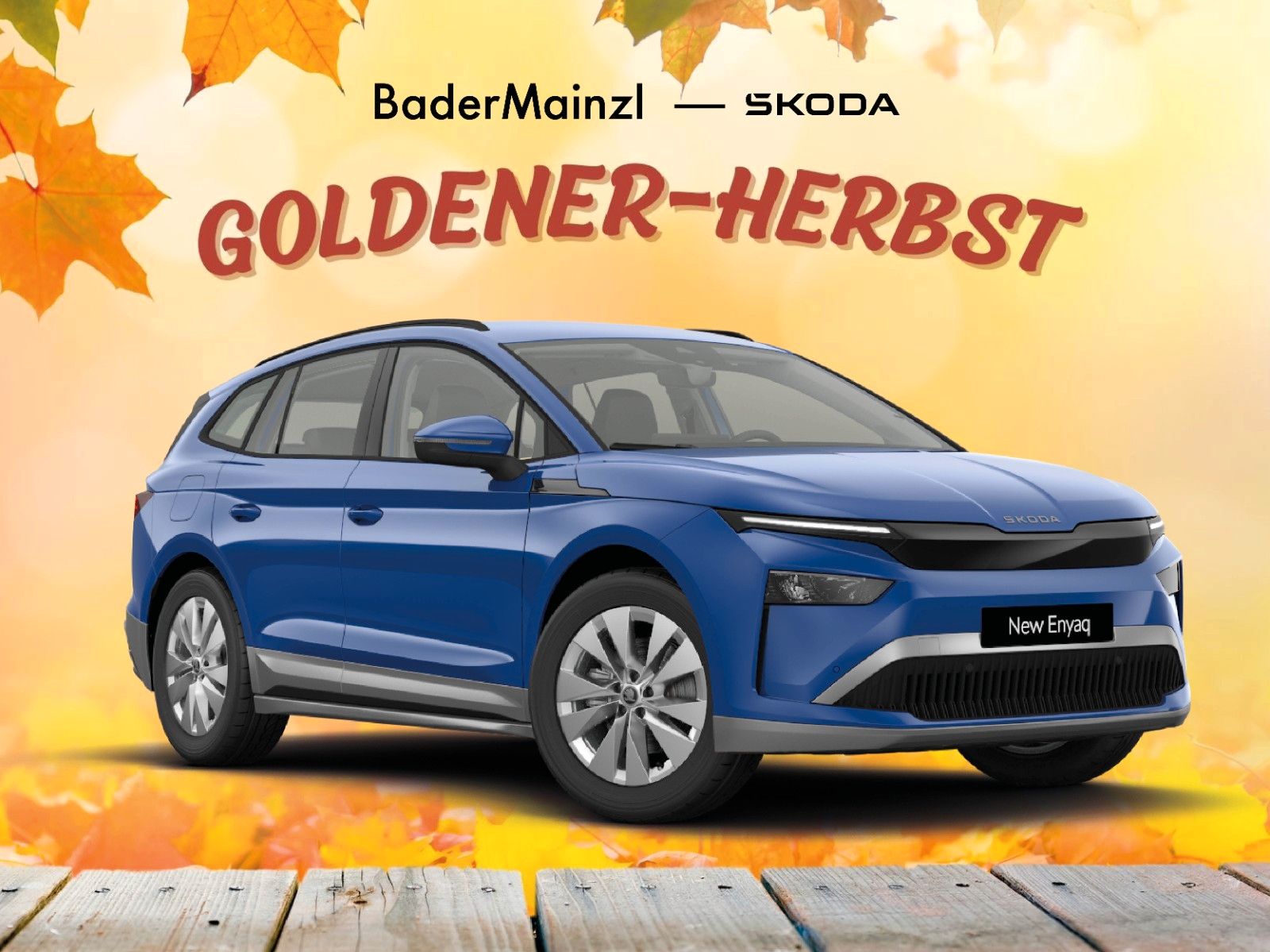 Skoda Enyaq 60 "Herbst-Sales" AKTION BaderMainzl !