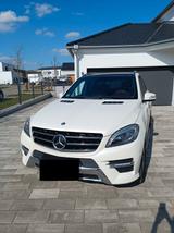 Mercedes-Benz ML 350 4MATIC BlueEFFICIENCY Edition 1 Edition 1 - Mercedes-Benz ML 350 mit Benzin-Antrieb