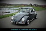 Volkswagen Käfer 68er  - Tiefer - Breiter - TÜV NEU