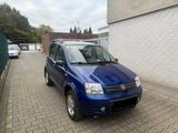 Fiat Panda 1.2 8V Climbing 4X4 TÜV NEU*PANO*WIE NEU - gebrauchte Fiat Panda aus dem Jahr 2009