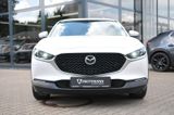Mazda CX-30 X 2.0 M Selection DESI-/ACT-P A18 360° WKR - Mazda CX-30 aus 2020