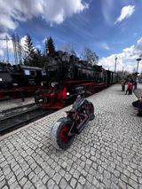 Harley-Davidson FLSTSB Crossbones Custom Fat Tyre Einzelstück  - Offers matching your search criteria