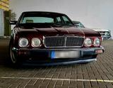 Jaguar jaguar xj40 oder Tausch - Jaguar XJ40 Gebrauchtwagen