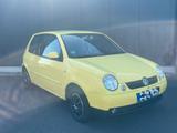 Volkswagen Lupo 1.0 COMFORTLINE Comfortline* TÜV*ALLWETTER  - Volkswagen Lupo: Comfortline