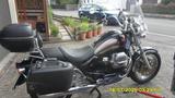 Moto Guzzi California EV - Angebote