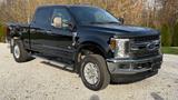 Ford F 250 SUPER DUTY - Ford F 250 mit Benzin-Antrieb