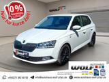 Skoda Fabia 1.0 TSI Clever Best of ACC~SmartLink~SHZ~S - Skoda Fabia: Clever Best Of