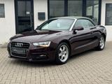 Audi A5 2.0 TDI Cabrio°8-Fach°ACC°Navi°SitzHzg° - Audi A5 8F