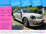 Volkswagen Cabrio Design 1.4 TSI *Xenon*Navi*SHZG*PDC* - Volkswagen Beetle: Cabrio