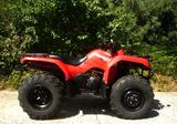 Yamaha Grizzly 350 Topzustand kaum gefahren Seilwinde - QUAD 350
