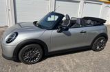 MINI Cooper Cabrio C Cabrio Classic Trim Steptron... - MINI Cabrio Serie Jahreswagen