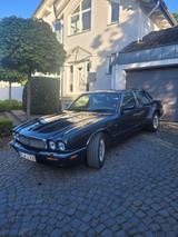Jaguar XJ8 3.2 -Executive Guter Zustand 2. Hand - gebrauchte Jaguar XJ8 aus dem Jahr 2000