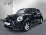MINI Mini Cooper Essential Trim,KLIMA,LED,TEMP,SH,PDC - MINI Cooper aus 2023