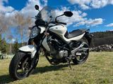 Suzuki Gladius nur 5000km, 1. Hand un-/umfallfrei - Angebote entsprechen deinen Suchkriterien