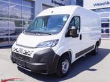 Fiat Ducato H2 Kastenwagen 33 L2H2 140 Multijet Flach - Fiat Ducato: Kastenwagen