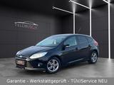 Ford Focus Sync Edition"Garantie-ServiceNEU"2.Hand - Ford Focus: Se