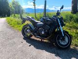 Honda CB 600 F Hornet (PC41) - HONDA CB600F
