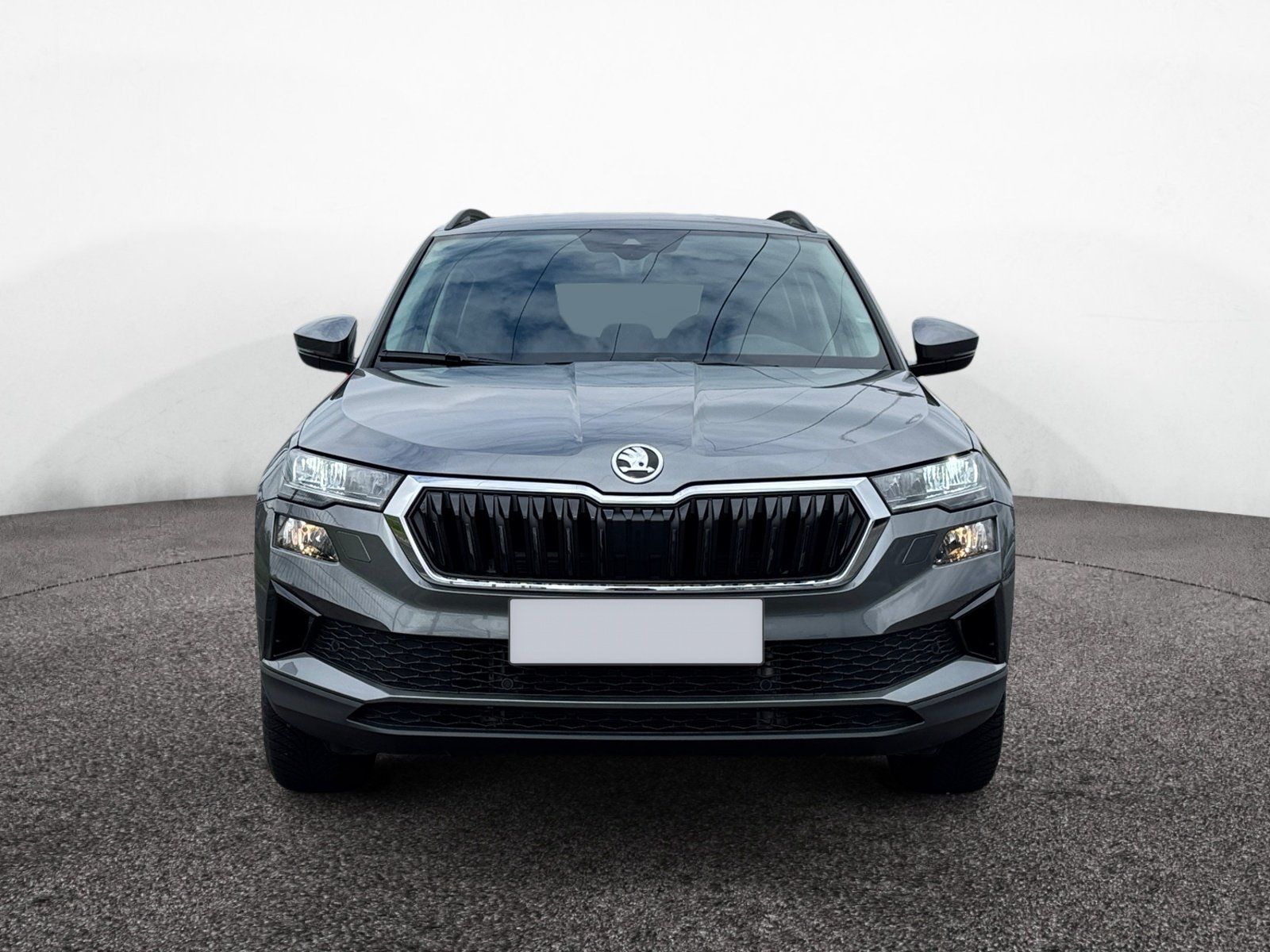 Skoda Karoq - Bild 3