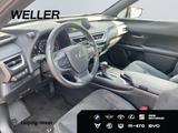 Lexus UX 250h LAUNCH EDITION *SHZ*PDC*RCam*ACC* - Lexus: Geländewagen