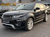 Land Rover Evoque SEDynamic/Vollleder/Kamera/20"/Pano - Land Rover Range Rover Evoque in Bielefeld