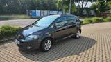 Volkswagen Golf Plus 2.0 TDI MATCH MATCH - Volkswagen Golf Plus: 2.0