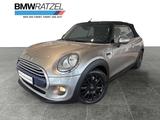 MINI Cooper C Cabrio Pepper Wired Navi Prof. BT Shz - MINI Cooper C: Cabrio