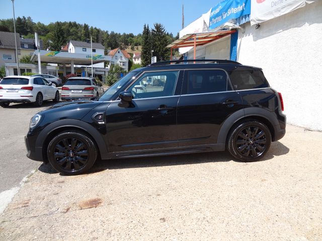 Fahrzeugabbildung MINI Countryman S/ALL4 Yours Trim/Virtual/1.Hd/Kamera