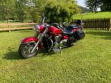 Yamaha XVS 1300A Midnight Star - YAMAHA MIDNIGHT STAR 1300