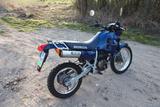 Honda NX 250 Originaler 1. Lack und unverbastelt - Angebote