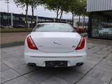 Jaguar XJ Portfolio 3.0 V6 Kompressor AWD Langver. ... - Jaguar XJ von privat