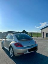 Volkswagen Beetle - Volkswagen New Beetle: Leder