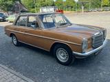 Mercedes-Benz 220 - Mercedes-Benz 220: Braun